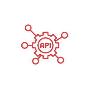 API Integration Support